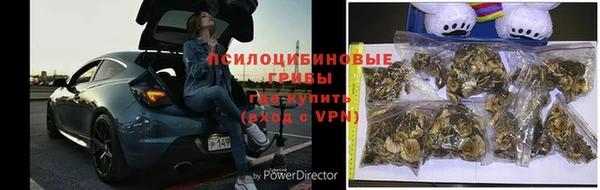 индика Протвино